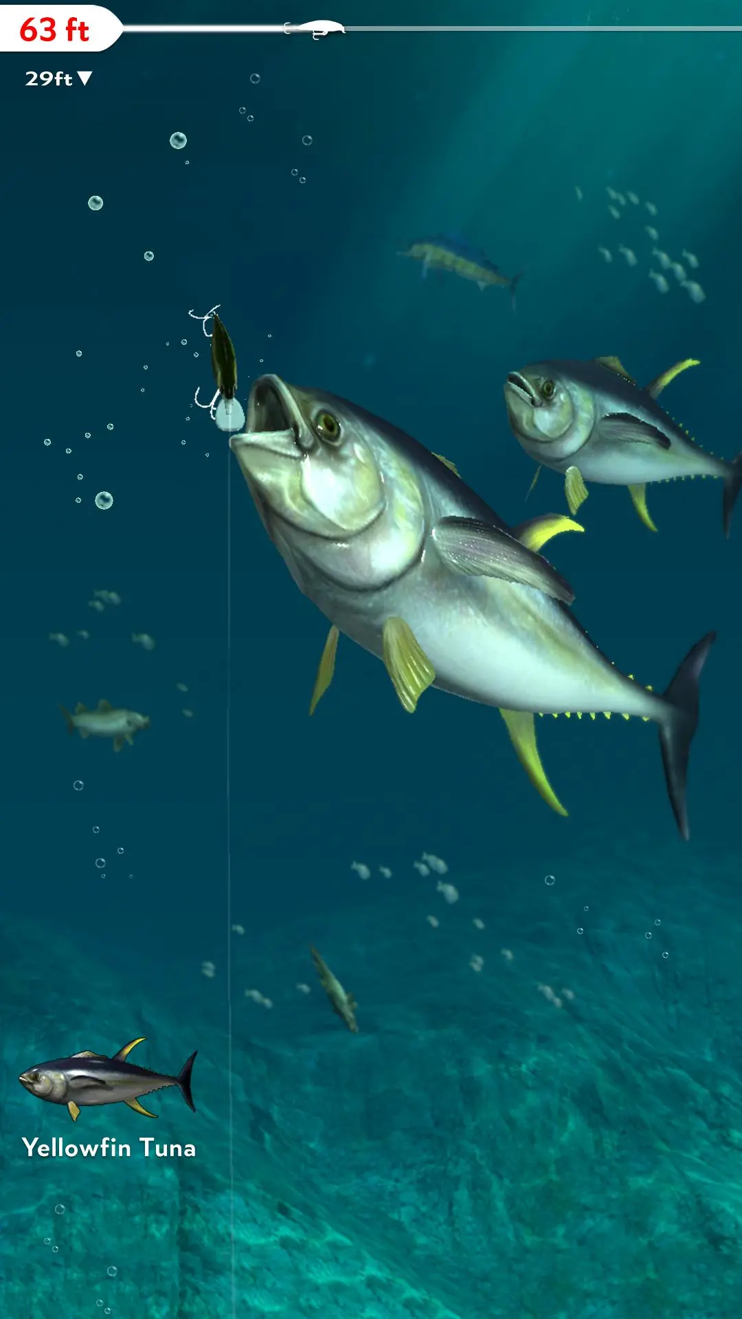 Download Rapala Fishing - Daily Catch android on PC