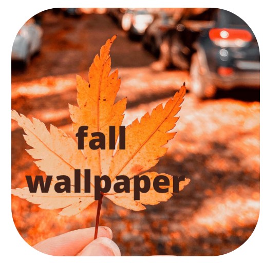 Fall wallpaper