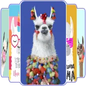Cute Llama Wallpapers