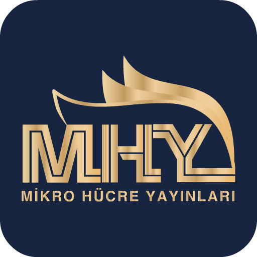 Mikro Çözüm