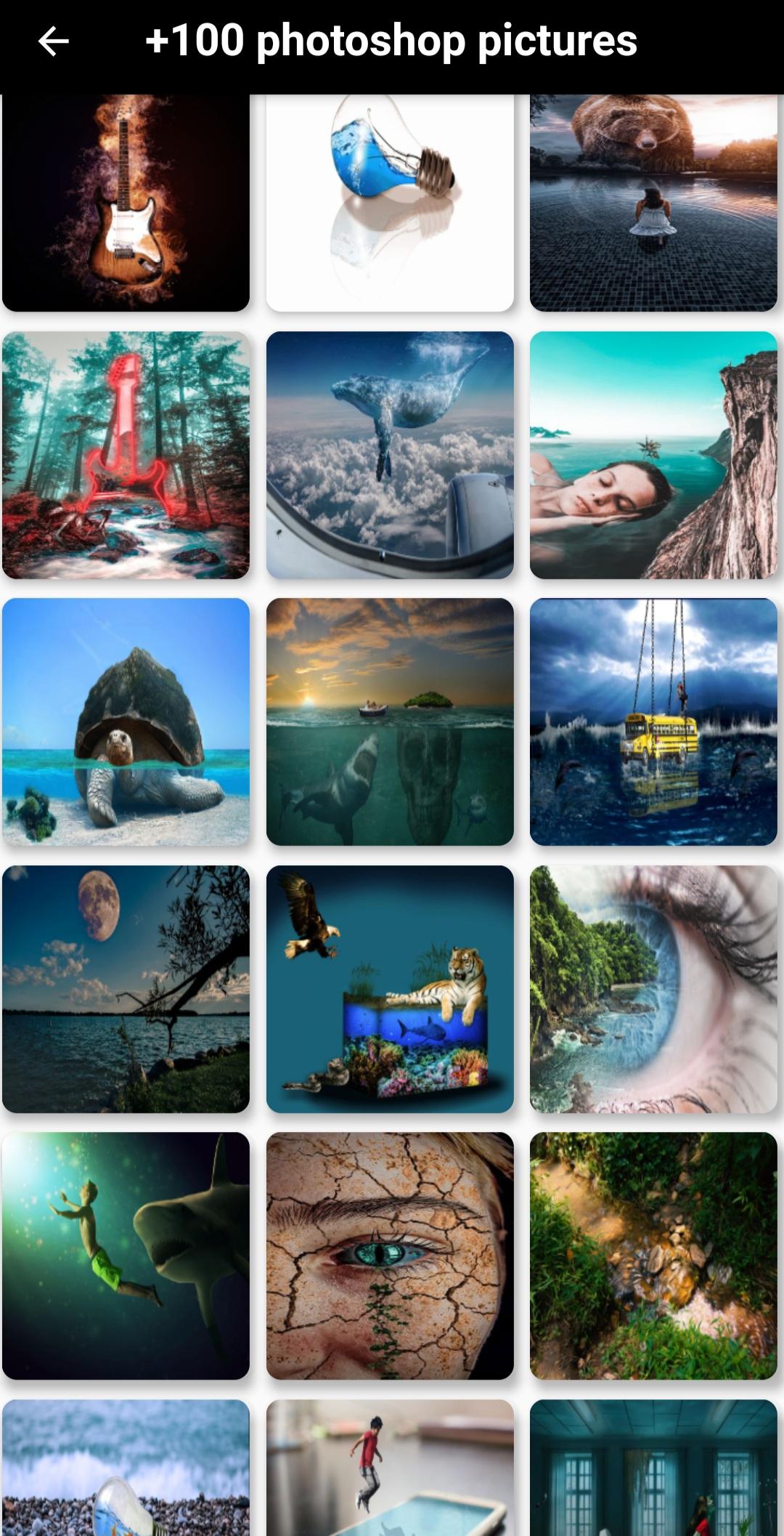 gallery