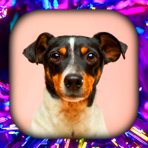 Anjing Kertas Dinding HD/3D/4K
