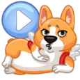 WASticker животные в движении