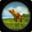 Wild Bear Animal Hunting