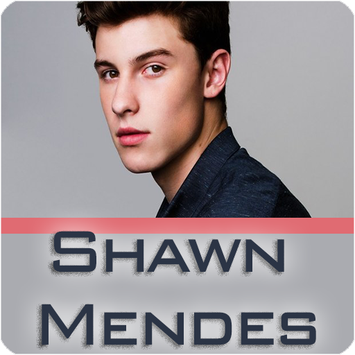 Shawn Mendes Best Offline Music