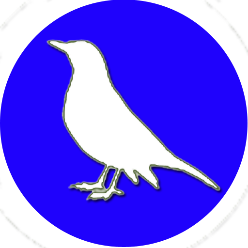 Bird Identifier