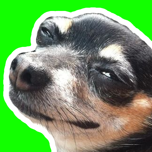 Dogs Stickers memes WASticker