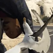 Put Me Down