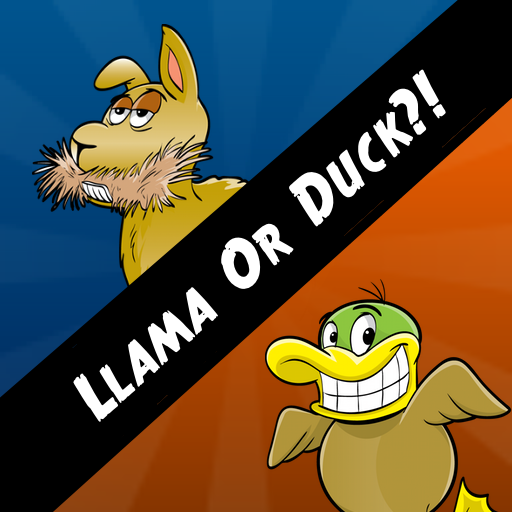 Llama Or Duck?!