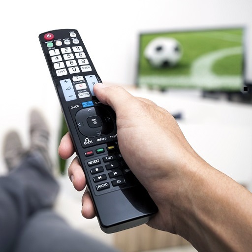 Sony Smart TV Remote Control