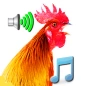 Funny Alarm Clock Ringtones