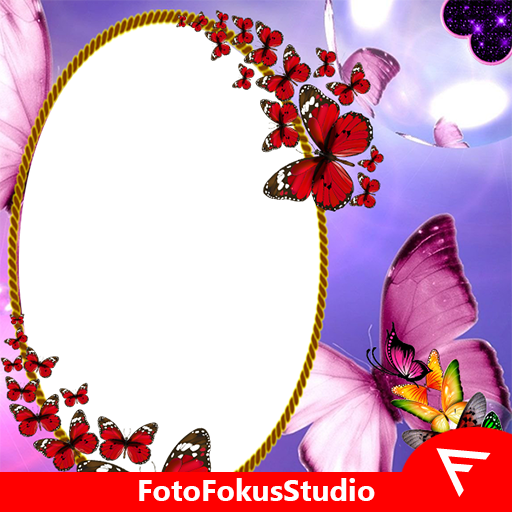 Butterfly Insta DP