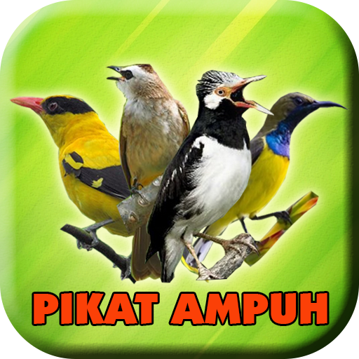 Suara Pikat Semua Burung Ampuh