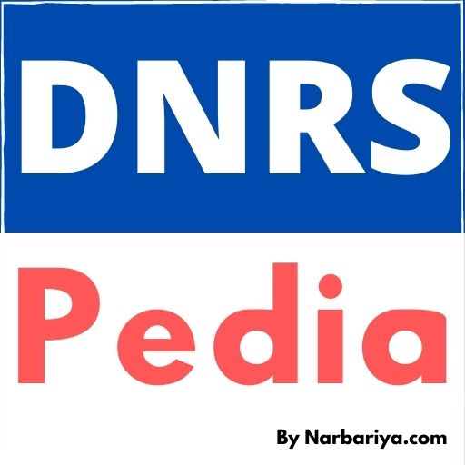 DNRS Business Plan, Products &