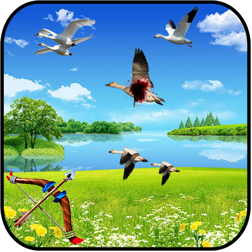 Birds shooter Angry Hunting
