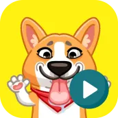 Cute Corgi Animated Stickers