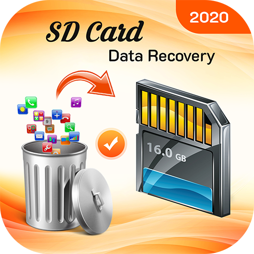 SD Card Data Recovery, Photo, Video Restore