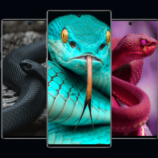 Animals HD Wallpaper-SNAKE 4K