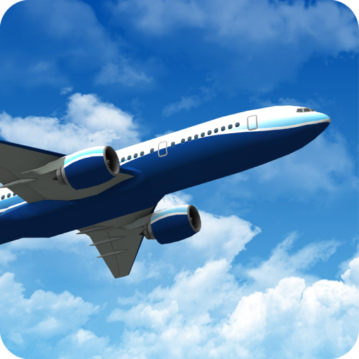 Jumbo Jet Flight Simulator