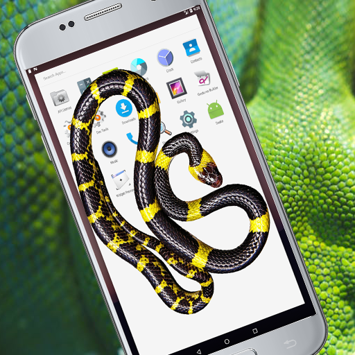 Snake on Phone Screen Prank