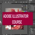 Adobe Illustrator Course