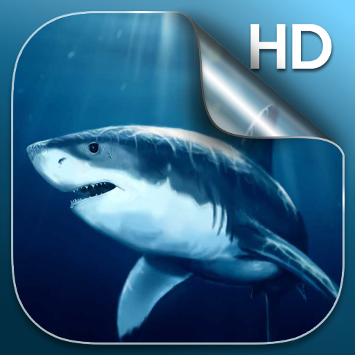 Cá Mập Hình Nền Động