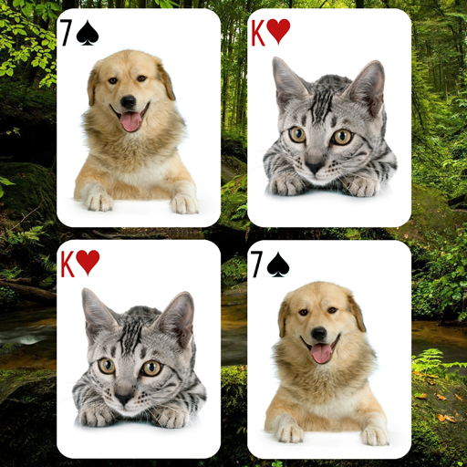 Animals Card Matching Game