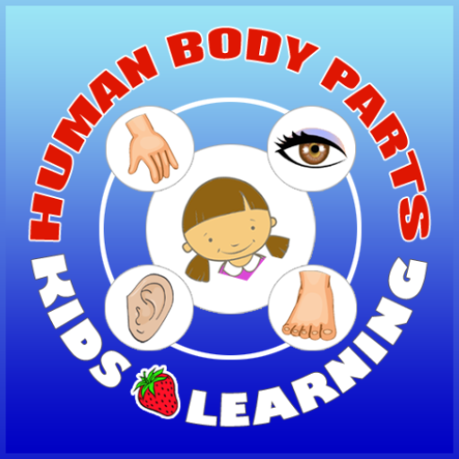 Human Body Parts - Kids Learni