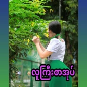 အပြာစာအုပ် _ လူကြီးစာအုပ်