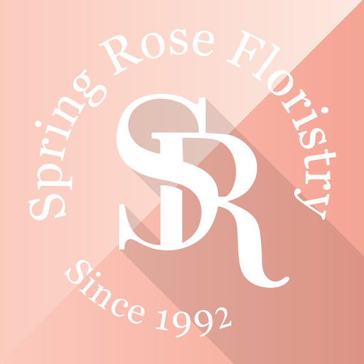 SpringRose زهرة الربيع