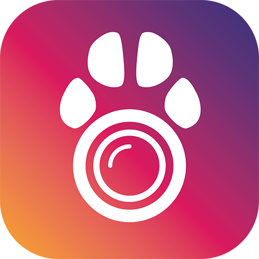 PetCam App - Pet Câmera App