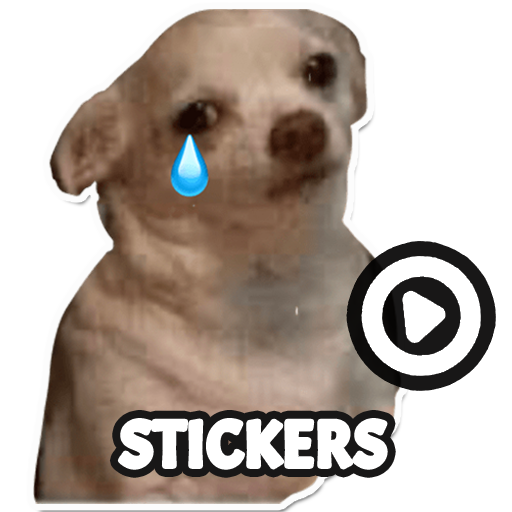 Dog meme sticker WAStickerApps