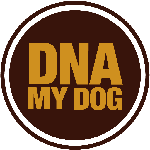 DNA My Dog