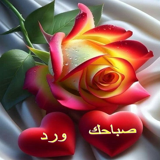 صور صباح الخير