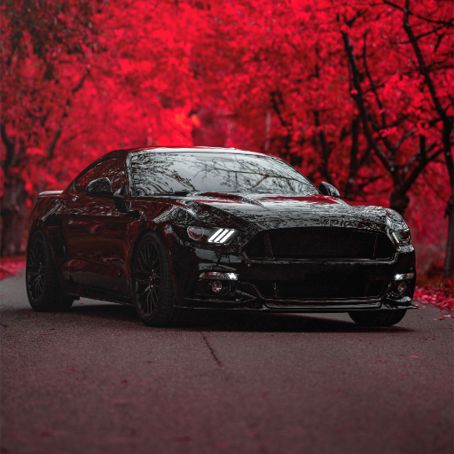 Tema kert dinding Ford Mustang