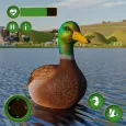 ördek oyunları aile simülatörü