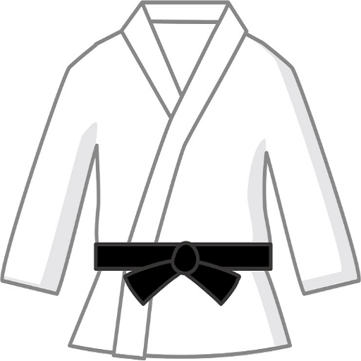 How to Learn Martial Arts