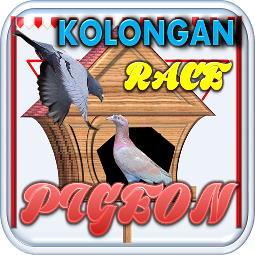 Kolongan Pigeon Race