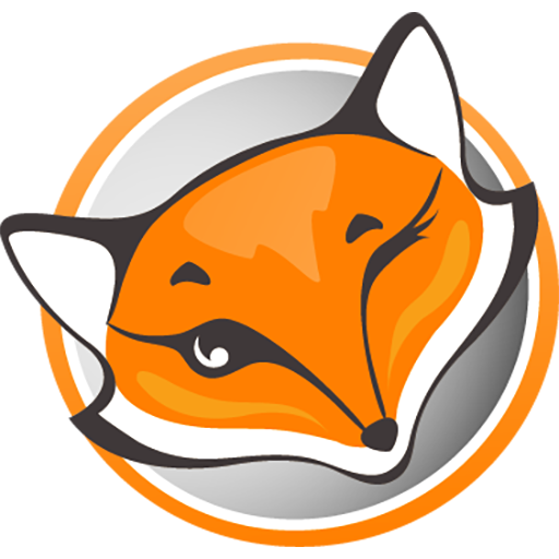 FoxyProxy VPN