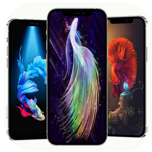 Betta Fish Wallpaper 4k