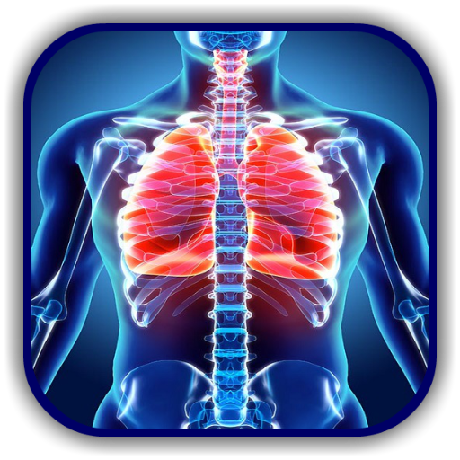 Chest X Ray - A Survival Guide