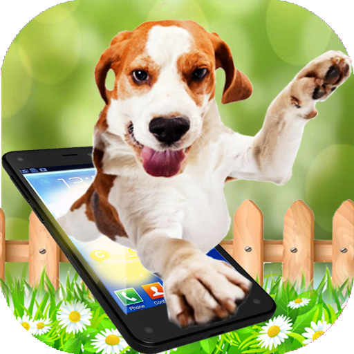 Dog walks On Screen - Cute Dog in Phone Funny Joke