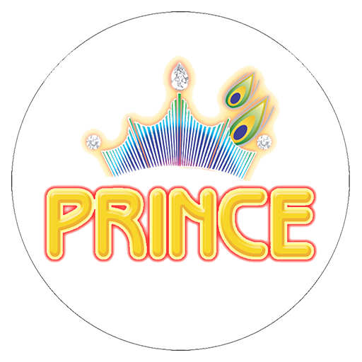 PRINCE ACADEMY