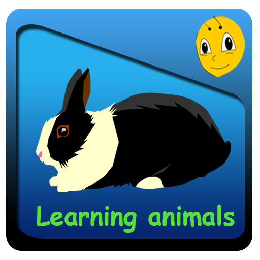 Bee Learn Animals for kids