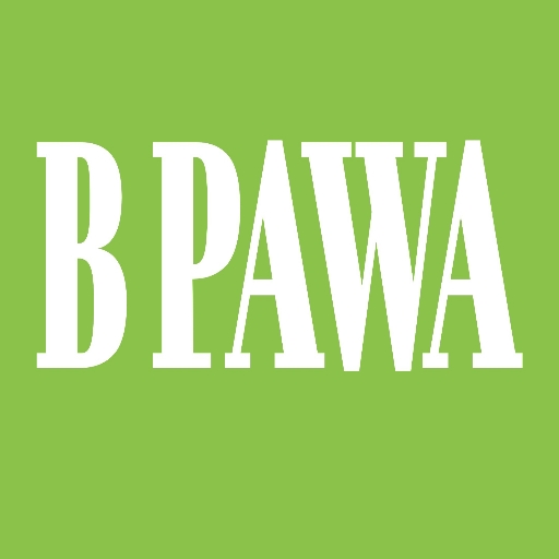 Download Sport App For Betpawa