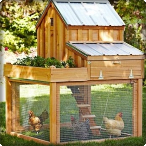 design de casa de frango minim