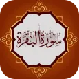 سورة البقرة كاملة بدون انترنت