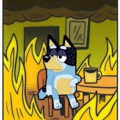 Bluey memes