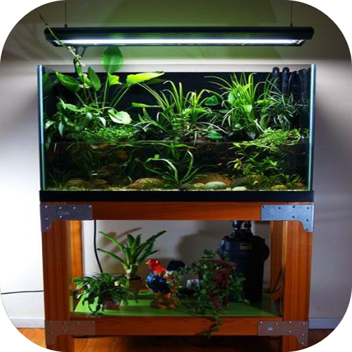 DIY Aquarium Design