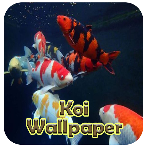 Koi Live Wallpaper 3D